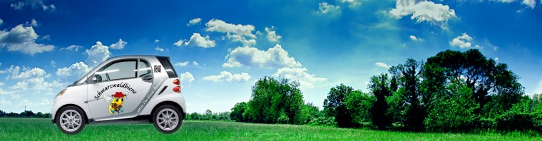 Die Schwarzwaldbiene unterwegs